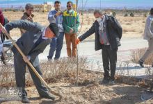 گزارش تصویری |  آیین غرس نهال و تجلیل از پرسنل زحمتکش فضای سبز و باغبانی دانشگاه صنعتی شاهرود 